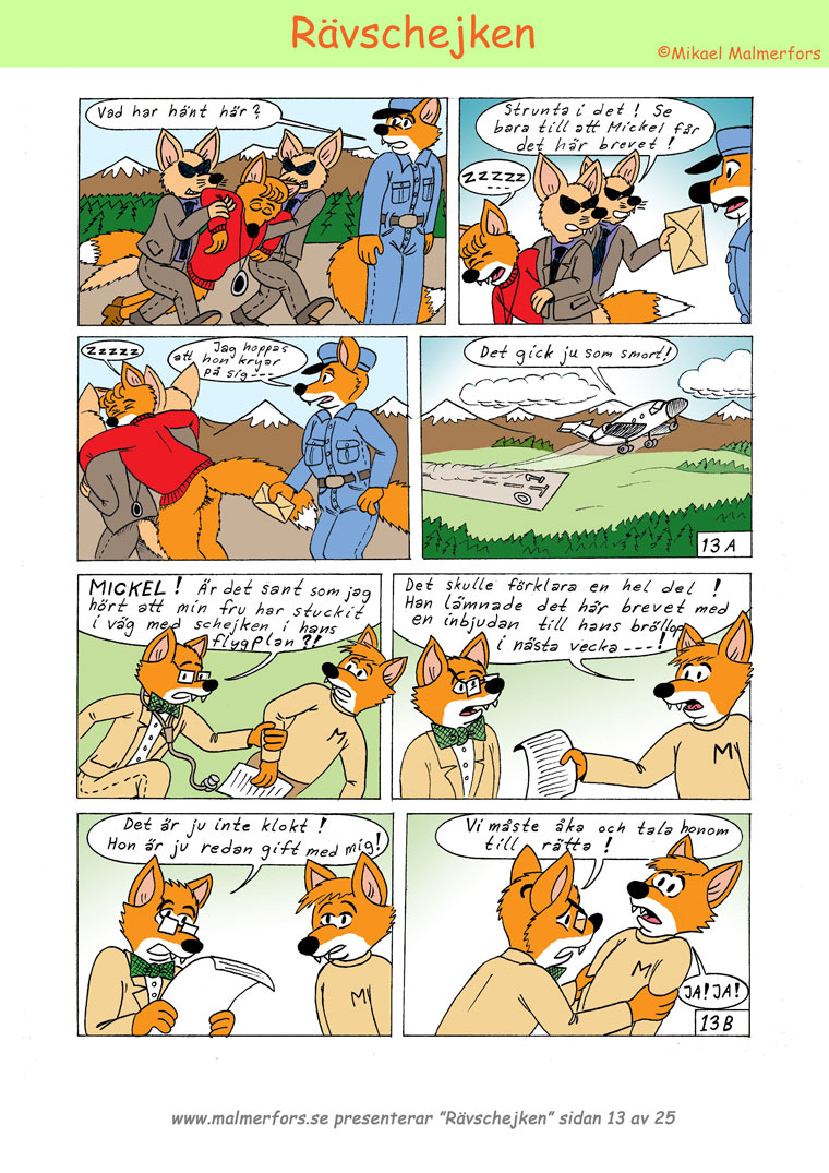 Rvschejken Sid 13