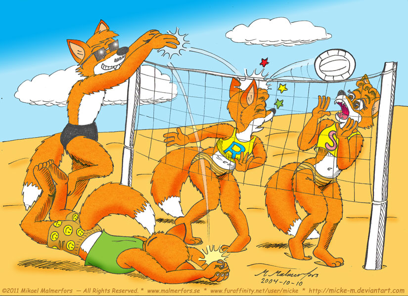 Pic 88 - Beach Volleyball